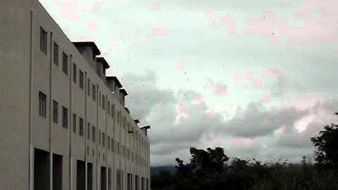 Swiftlet Farming Krai Eco Park Kelantan  ( Kuala Krai :  having highest swiftlet growth rate)