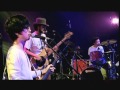 ペトロールズ - ツバメ