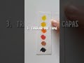 3 Tips para Colorear 🎨 en Arte y Dibujo