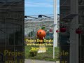 Project Site: Simple and Practical Solar Streetlights #kototerk
