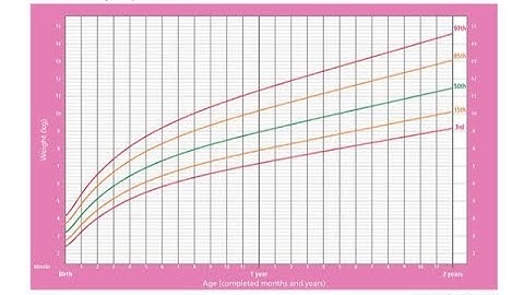 Growth Chart: WHO Anthro Software - Nutritional Status