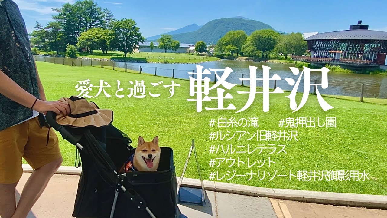 【犬連れ旅行】軽井沢はとってもドッグフレンドリー【柴犬】