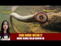 CARA KURUS TANPA DIET DAN OLAHRAGA !! PAKE LINTAH RAKSASA ?!