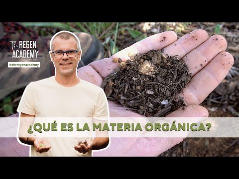 Vídeo: Què és el mètode a granel en la millora de plantes?