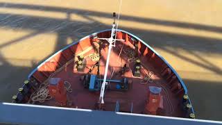 WILSON MAIN cargo ship