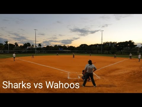 sunrise sharks travel baseball