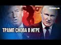 💬 Гонка за СТАТУС &quot;МИРОТВОРЦА&quot;: Европа ПЛАТИТ – США зарабатывают