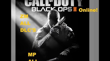 How to play call of duty bo2 online/Lan mp and zm for free 2017 1080HD