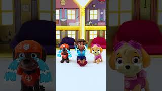 The Ultimate Relaxing Paw Patrol Toy Unboxing for US Collectors 🇺🇸#pawpatrol #targetfinds