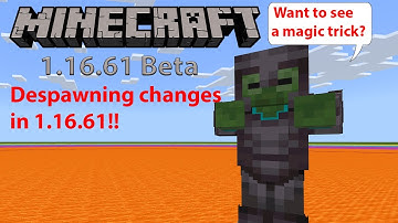 Minecraft Beta 1.16.61 Despawning changes!