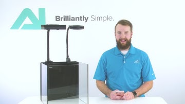 Creating a Lunar Light Effect in a myAI Aqua Illumination Light Program