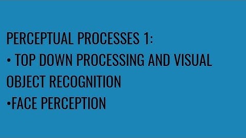 PERCEPTUAL PROCESS 1: TOP DOWN PROCESSING AND VISUAL OBJECT RECOGNITION, AND FACE PERCEPTION.