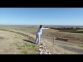 Spreading California Wild Flower along Highway 5