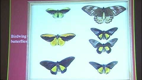 2008-09 Robert D. Clark Lecture: Sean B. Carroll