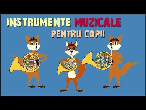 Invatam instrumentele muzicale