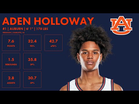 Aden Holloway - Auburn - 2023-24 Transfer Portal Highlights
