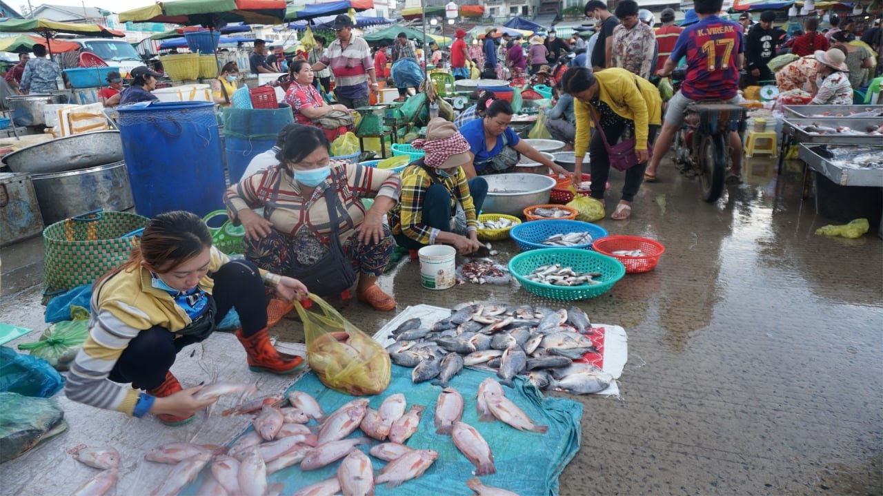 Amazing Big Site Distribute Fish, Dry Fish, Seafood  More @Chhbar Ampov - Morning Fish Market Show