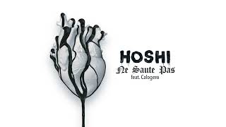 Hoshi - Ne saute pas feat. Calogero (Audio) chords