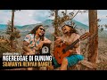 Enak Banget.. NgeREGGAE Di Gunung Bareng Bobby Nyoe ( MUSRIK EPSD 7)