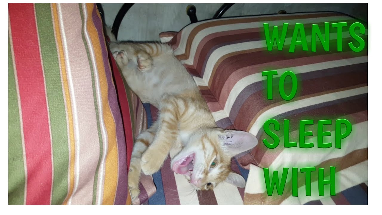 Wants To Sleep With Sam YouTube