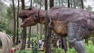 JELAJAH HUTAN MOJOSEMI DAN BERPETUALANG DENGAN DINOSAURUS!!!