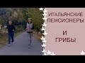 КАК ЖИВУТ ИТАЛЬЯНСКИЕ ПЕНСИОНЕРЫ / СЕНСАЦИЯ ГРИБНОЙ ЯРМАРКИ!