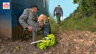 Almost 100YEAROLD MAN LIVES ALONE with his puppy lonely in forest Lolo