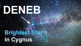 Звездная система Денеб — самая яркая звезда в созвездии Лебедя.