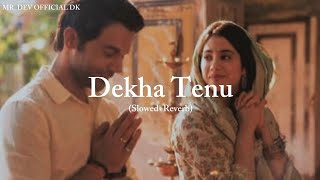 Dekha Tenu Slowedreverb Mohammad Faiz, Jaani Mr Mrs Mahi