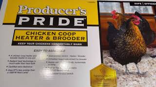 Celebrity Chicken Coop Heater DETAILED REVIEW Producer's Pride Heater & Brooder Wealth