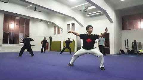 Trần gia thái cực quyền Lão Giá Nhất Lộ