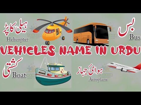 Vehicle Meaning In Urdu And English