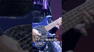チケット発売中！ #和楽器バンド #wagakkiband #日本武道館 #shorts