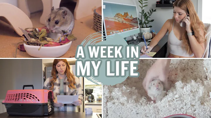 A WEEK IN MY LIFE | Victoria Raechel