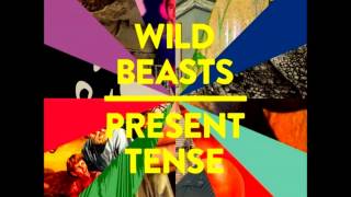 Wild Beasts - Past Perfect (Sub. Español)