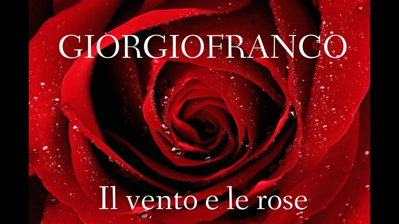 Testo Il Vento E Le Rose