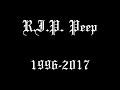 Lil Peep - 2008 [1 Hour Loop]