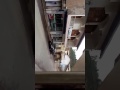Vídeo: Cabo da PM é assassinado em tentativa de assalto a bancos, em Santa Margarida