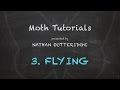 Moth tutorials  3 flying