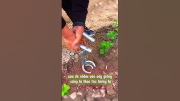 Một cái dụng cụ bứng cây, di chuyển cây con tiện lợi.