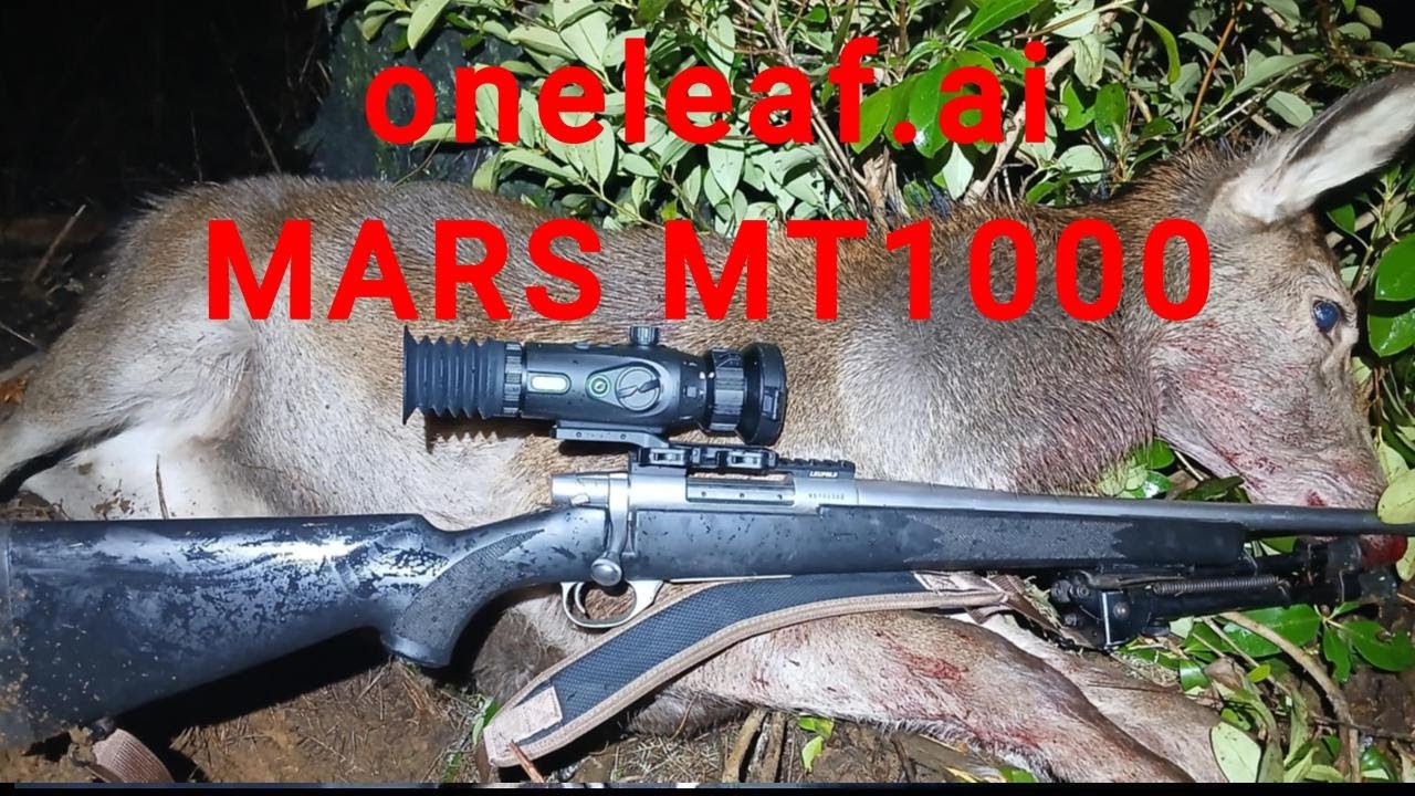 Great New Scope In Action - YouTube