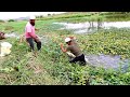 Incredible fishingfisher man catching the rohu fishes to catch with hookunique fishing