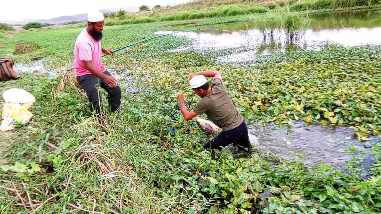 Incredible Fishing|Fisher Man Catching The Rohu Fishes To Catch With Hook|Unique Fishing Video