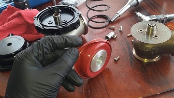 eBay fake tial update after 6 months