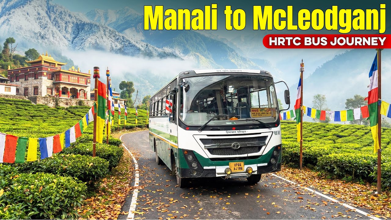 Manali to McLeodganj by HRTC Bus | Route, Road Conditions & Fare | Himbus