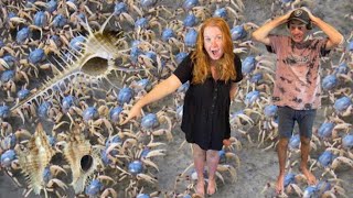 SHE FOUND 2 SUPER RARE MUREX SEASHELLS INFRONT OF ME! | Shelling in Australia, Beach Combing Jackpot