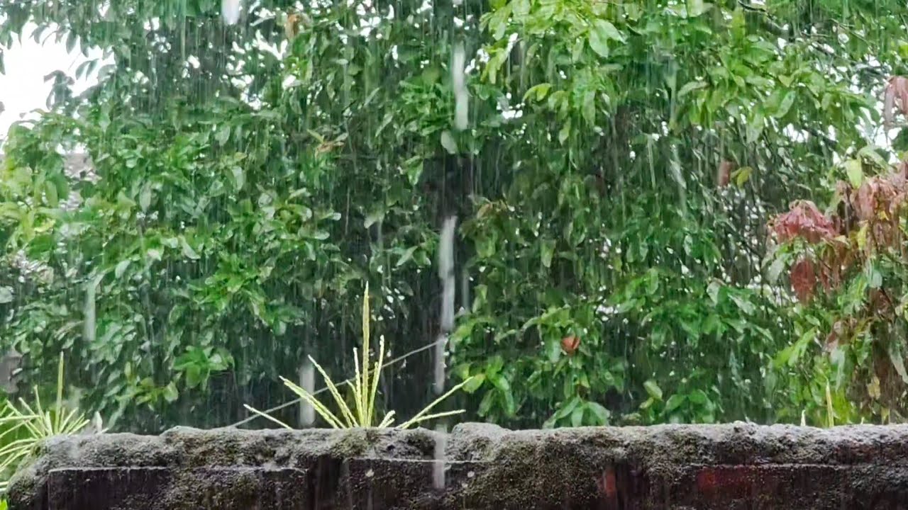 Волшебный звук дождя! Расслабьте душу, избавьтесь от тревоги и быстро засните.