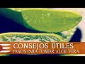 CONSEJOS ÚTILES | Pasos para tomar Aloe Vera