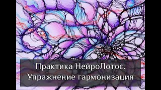 Вебинар "Знакомство с курсом Нейролотос"