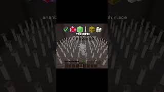 Which Minecraft Block Can Survive The Fall Damage 🤩 | #minecraft #shorts